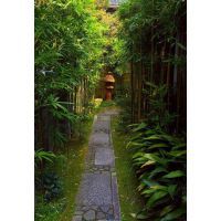 福建种苗品牌大全
